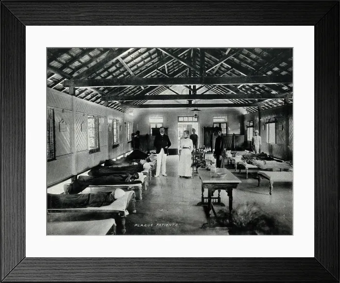 Framed Print : Bombay plague epidemic, 1896-1897: interior of a plague hospital, 1896 / 1897. Creator: Clifton & Co Framed Print : Bombay plague epidemic, 1896-1897: interior of a plague hospital, 1896 / 1897. Creator: Clifton & Co