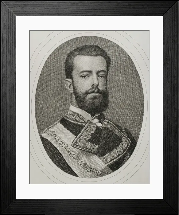 Framed Print : Amadeo I of Spain (1845-1890), King of Spain from January 2, 1871 to February 11, 1873, 1882. Creator: Joaquin Furno Abad Framed Print : Amadeo I of Spain (1845-1890), King of Spain from January 2, 1871 to February 11, 1873, 1882. Creator: Joaquin Furno Abad