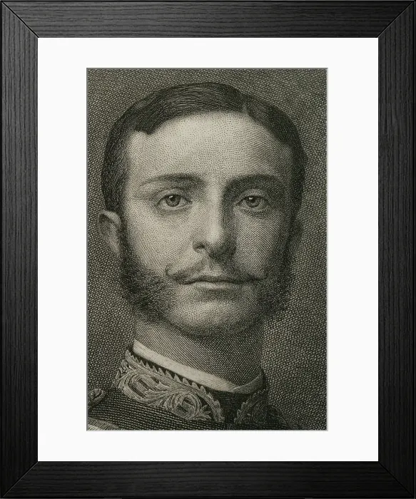 Framed Print : Portrait of Alfonso XII (Madrid, 1857-Madrid, 1885), King of Spain (1874-1885), 1882. Creator: Bartolome Maura Montaner Framed Print : Portrait of Alfonso XII (Madrid, 1857-Madrid, 1885), King of Spain (1874-1885), 1882. Creator: Bartolome Maura Montaner