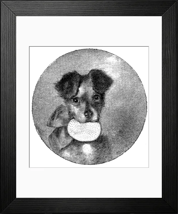 Framed Print : The Lady's Pet, 1890. Creator: Unknown Framed Print : The Lady's Pet, 1890. Creator: Unknown