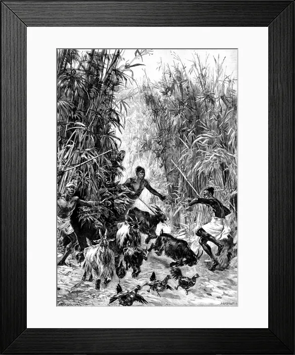 Framed Print : Mr. H. M. Stanley's Emin Pasha Relief Expedition - foraging for supplies for the Yahbuya Camp, 1890. Creator: H. Werdmuller Framed Print : Mr. H. M. Stanley's Emin Pasha Relief Expedition - foraging for supplies for the Yahbuya Camp, 1890. Creator: H. Werdmuller