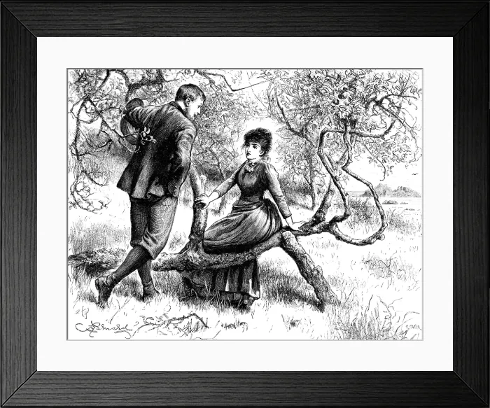 Framed Print : 'Will you advise me, Roland Lee?', 1890. Creator: R. Taylor Framed Print : 'Will you advise me, Roland Lee?', 1890. Creator: R. Taylor