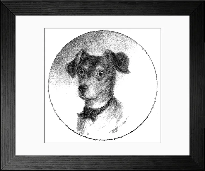 Framed Print : The Lady's Pet, but the Burglar's Dread, 1890. Creator: Unknown Framed Print : The Lady's Pet, but the Burglar's Dread, 1890. Creator: Unknown