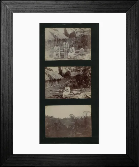 Framed Print : Huts at Coolies Lines Hill Bank, Belize, 1900. Creator: Unknown Framed Print : Huts at Coolies Lines Hill Bank, Belize, 1900. Creator: Unknown