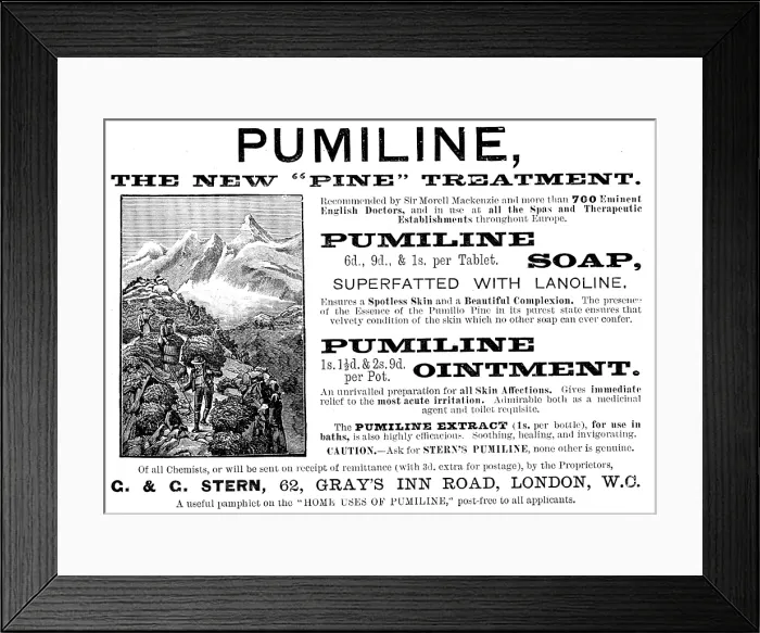 Framed Print : Advertisement for Pumiline Ointment, 1890. Creator: Unknown Framed Print : Advertisement for Pumiline Ointment, 1890. Creator: Unknown