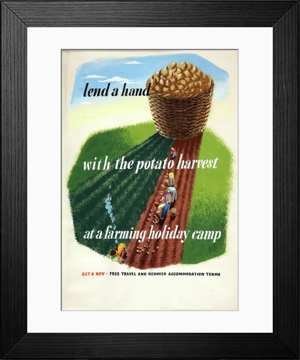 Framed Print : Lend a hand with the potato harvest at a farming holiday camp... WWII poster, between 1939 & 1946 Creators: Central Office of Information Framed Print : Lend a hand with the potato harvest at a farming holiday camp... WWII poster, between 1939 & 1946 Creators: Central Office of Information