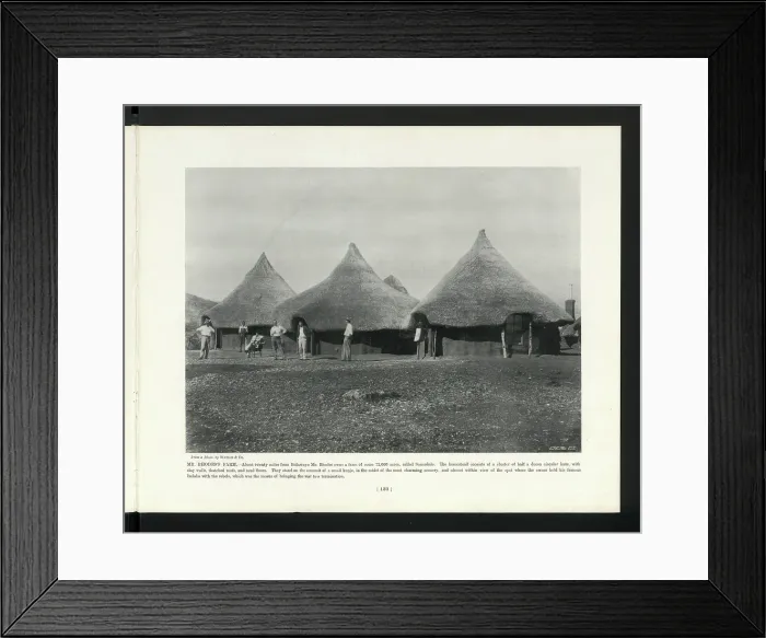 Framed Print : Mr Rhodes's Farm, South Africa. c1900? Creator: Unknown. Mr Rhodes's Farm, South Africa. c1900? Creator: Unknown Framed Print : Mr Rhodes's Farm, South Africa. c1900? Creator: Unknown. Mr Rhodes's Farm, South Africa. c1900? Creator: Unknown