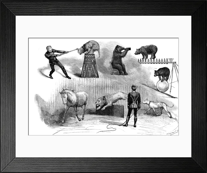 Framed Print : Grand Circus at Covent-Garden Theatre, 1890. Creator: P Naumann Framed Print : Grand Circus at Covent-Garden Theatre, 1890. Creator: P Naumann