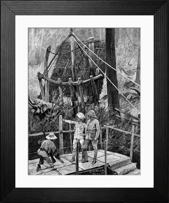 Framed Print : Prince Albert Victor in India: catching wild elephants, Government Khedah, Mysore District, 1890. Creator: P Naumann Framed Print : Prince Albert Victor in India: catching wild elephants, Government Khedah, Mysore District, 1890. Creator: P Naumann
