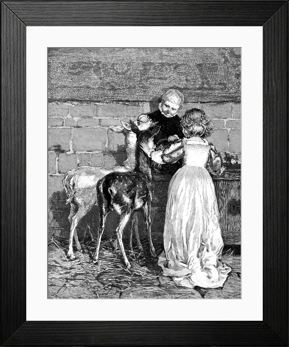 Framed Print : Pets of the House: A Christmas Feast, drawn by Percy Tarrant, 1883. Creator: Unknown Framed Print : Pets of the House: A Christmas Feast, drawn by Percy Tarrant, 1883. Creator: Unknown