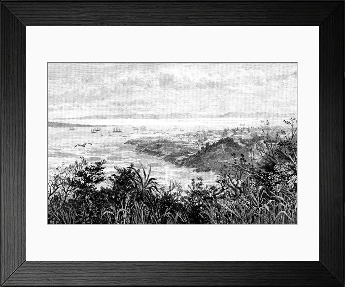 Framed Print : The Dispute with Portugal: Delagoa Bay, South Africa, 1890. Creator: Unknown Framed Print : The Dispute with Portugal: Delagoa Bay, South Africa, 1890. Creator: Unknown