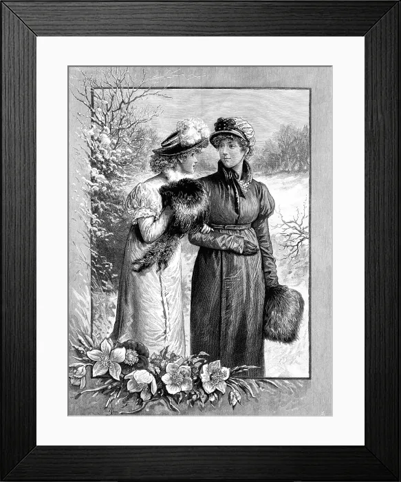 Framed Print : Christmas Roses, drawn by A. Johnson, 1883. Creator: Unknown Framed Print : Christmas Roses, drawn by A. Johnson, 1883. Creator: Unknown
