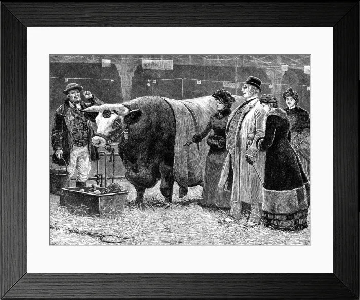 Framed Print : The Pleasure of Success, 1883. Creator: Unknown Framed Print : The Pleasure of Success, 1883. Creator: Unknown