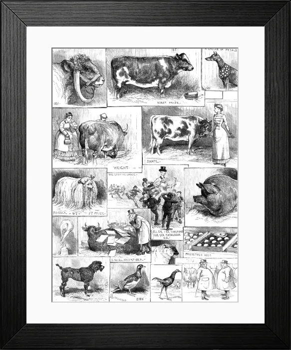 Framed Print : The Birmingham Cattle, Poultry, and Dog Show, 1883. Creator: Unknown Framed Print : The Birmingham Cattle, Poultry, and Dog Show, 1883. Creator: Unknown