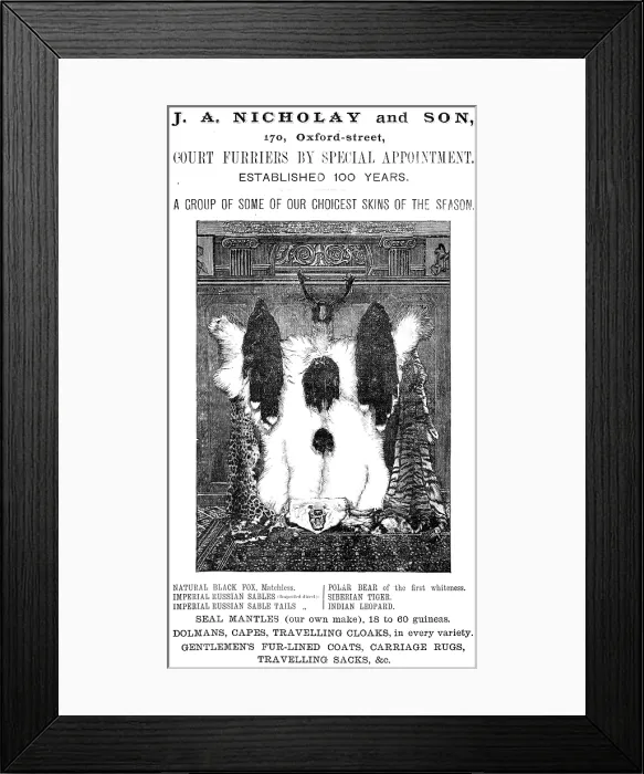 Framed Print : J. A. Nicholay and Son, Court Furriers by Special Appointment, 1883. Creator: Unknown Framed Print : J. A. Nicholay and Son, Court Furriers by Special Appointment, 1883. Creator: Unknown