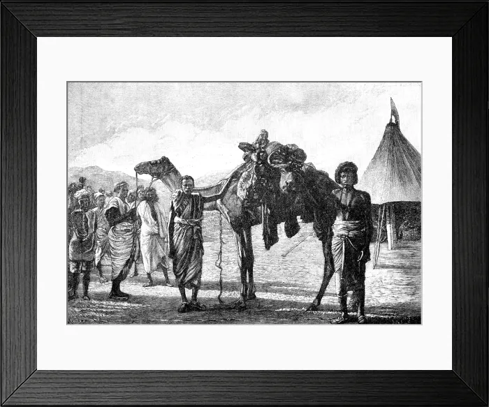 Framed Print : Illustrations of 'The Wild Tribes of the Soudan', by F. L. James...: arrival of meat in camp, 1883. Creator: Unknown Framed Print : Illustrations of 'The Wild Tribes of the Soudan', by F. L. James...: arrival of meat in camp, 1883. Creator: Unknown