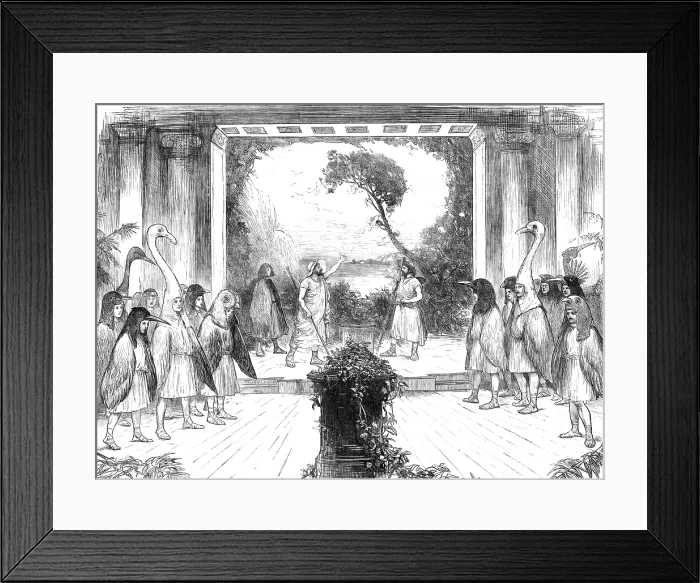 Framed Print : 'The Birds' of Aristophanes, played at Cambridge University, 1883. Creator: Unknown Framed Print : 'The Birds' of Aristophanes, played at Cambridge University, 1883. Creator: Unknown