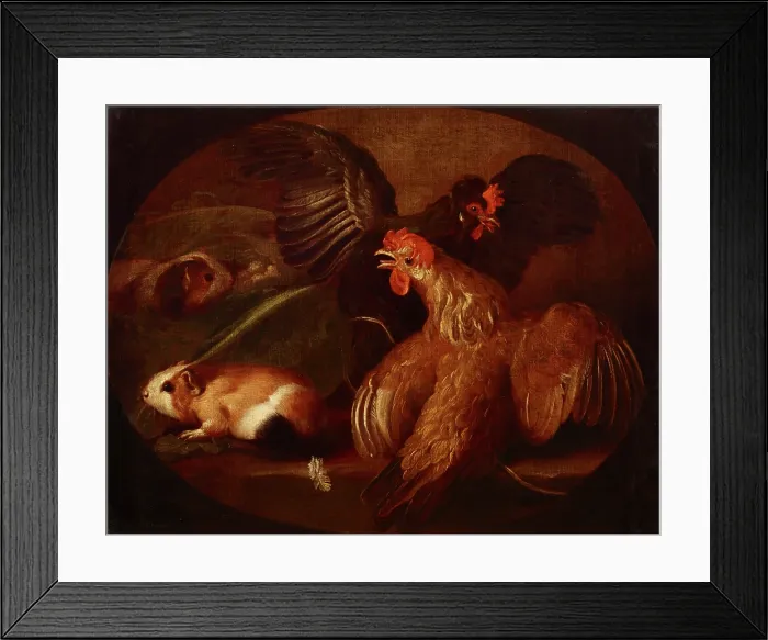 Framed Print : Hens and Guinea Pigs, between 1718-1720. Creator: Giovanni Agostino Cassana Framed Print : Hens and Guinea Pigs, between 1718-1720. Creator: Giovanni Agostino Cassana