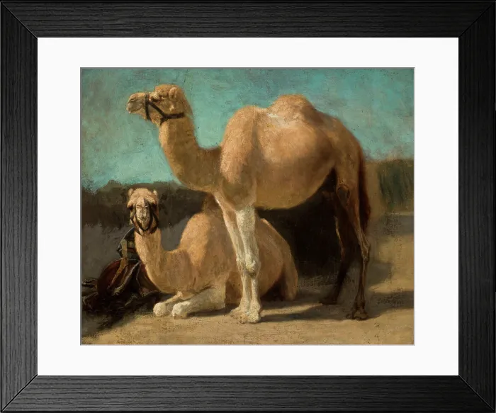 Framed Print : Two Camels, between 1852-1853. Creator: Henryk Rodakowski Framed Print : Two Camels, between 1852-1853. Creator: Henryk Rodakowski