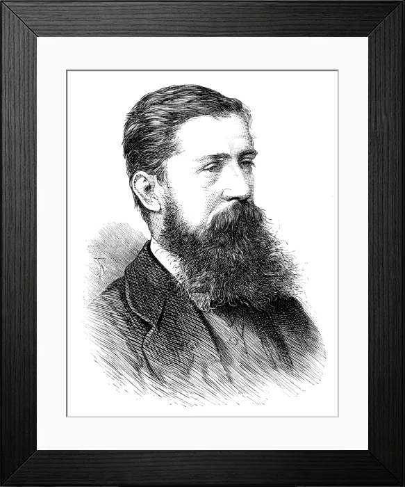 Framed Print : The late Mr. Alfred P. Newton, artist, 1883. Creator: Unknown Framed Print : The late Mr. Alfred P. Newton, artist, 1883. Creator: Unknown