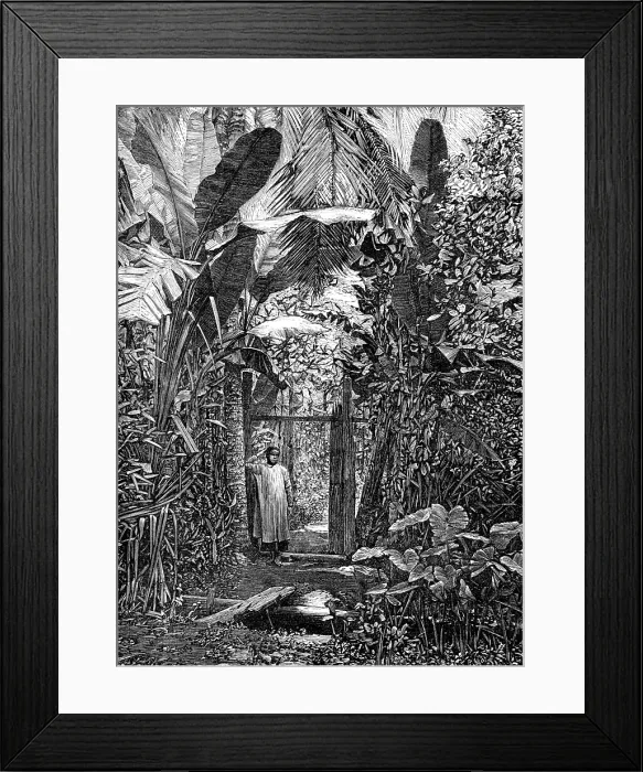 Framed Print : Sketches of Annam, Cochin China: village pathway, 1883. Creator: Kemp Framed Print : Sketches of Annam, Cochin China: village pathway, 1883. Creator: Kemp