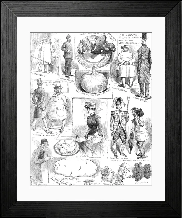 Framed Print : Sketches at the Crystal Palace Potato Show, 1883. Creator: Unknown Framed Print : Sketches at the Crystal Palace Potato Show, 1883. Creator: Unknown