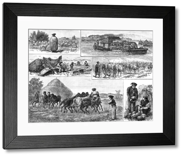 Framed Print : Sketches of Peasant Life in Hungary, 1883. Creator: William Michael Roberts Quick Framed Print : Sketches of Peasant Life in Hungary, 1883. Creator: William Michael Roberts Quick