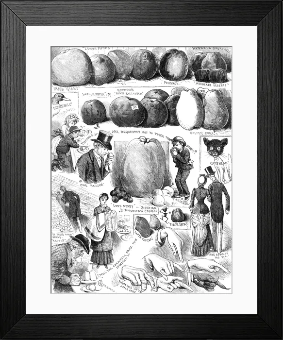 Framed Print : Sketches at the Apple Congress at Chiswick, 1883. Creator: Unknown Framed Print : Sketches at the Apple Congress at Chiswick, 1883. Creator: Unknown
