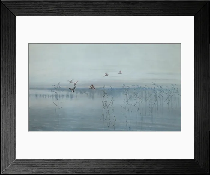 Framed Print : Ducks over Swamps, 1892. Creator: Stanislaw Maslowski Framed Print : Ducks over Swamps, 1892. Creator: Stanislaw Maslowski