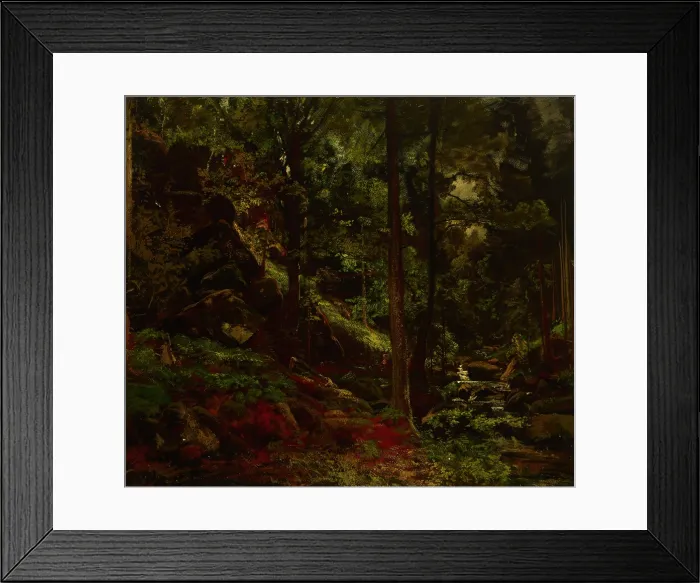Framed Print : Stream in the Woods, 19th century. Creator: Adolf Dressler Framed Print : Stream in the Woods, 19th century. Creator: Adolf Dressler