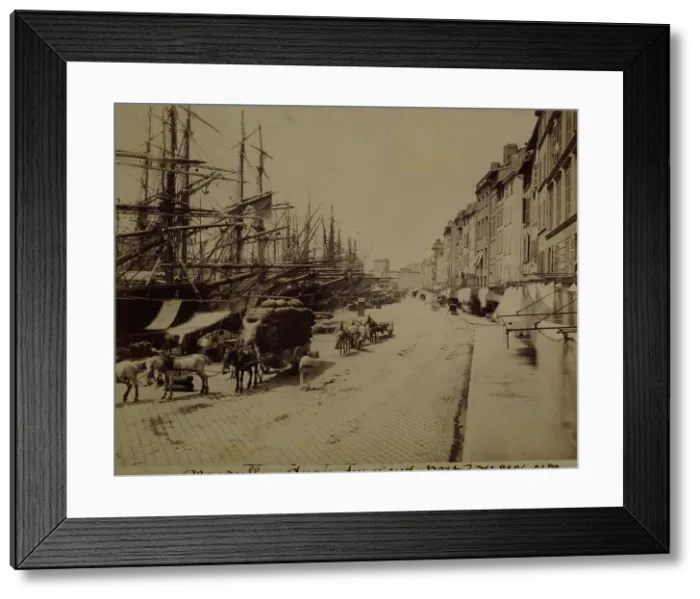 Framed Print : Street along the waterfront, Marseille Old Port, between 1870-1890. Creator: Unknown Framed Print : Street along the waterfront, Marseille Old Port, between 1870-1890. Creator: Unknown