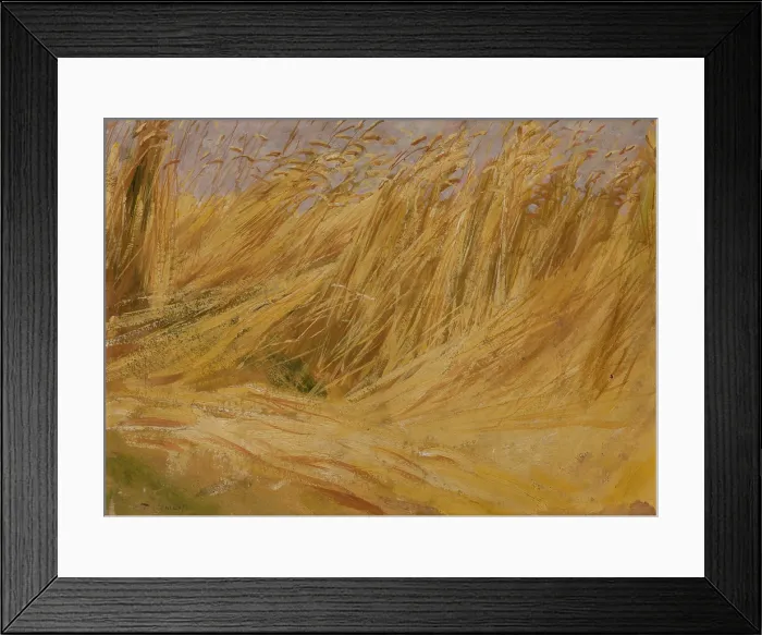 Framed Print : Corn Field (Study), 1901. Creator: Wlodzimierz Tetmajer