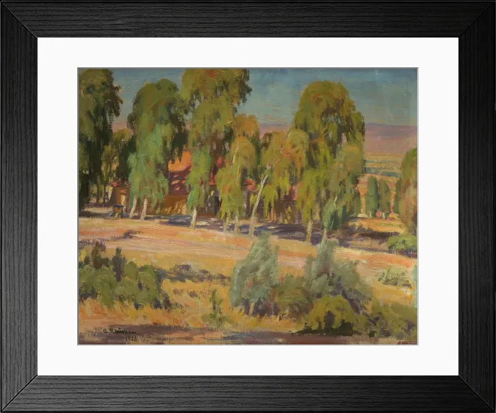 Framed Print : Eucalyptus Trees in Upper Galilee, 1926. Creator: Abraham Neuman Framed Print : Eucalyptus Trees in Upper Galilee, 1926. Creator: Abraham Neuman