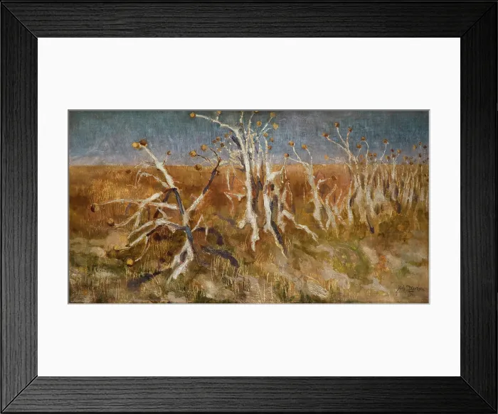 Framed Print : Musk Thistles, 1904. Creator: Kazimierz Sichulski Framed Print : Musk Thistles, 1904. Creator: Kazimierz Sichulski