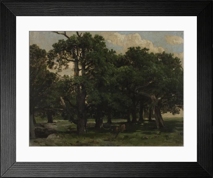 Framed Print : Pines, c1870. Creator: Jozef Szermentowski Framed Print : Pines, c1870. Creator: Jozef Szermentowski