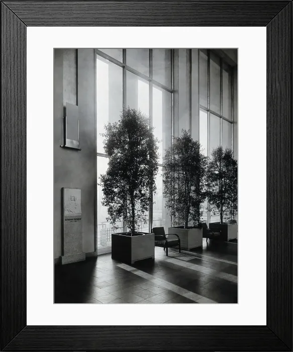 Framed Print : Bernardino Ramazzini. Photograph of a bas-relief in the Deutsches Hygiene Museum. Creator: Unknown Framed Print : Bernardino Ramazzini. Photograph of a bas-relief in the Deutsches Hygiene Museum. Creator: Unknown