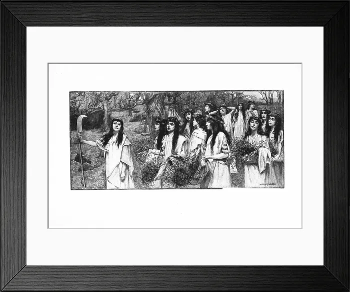 Framed Print : The Gathering of the Mistletoe. Creator: Rheam, Henry Meynell (1859-1920) Framed Print : The Gathering of the Mistletoe. Creator: Rheam, Henry Meynell (1859-1920)