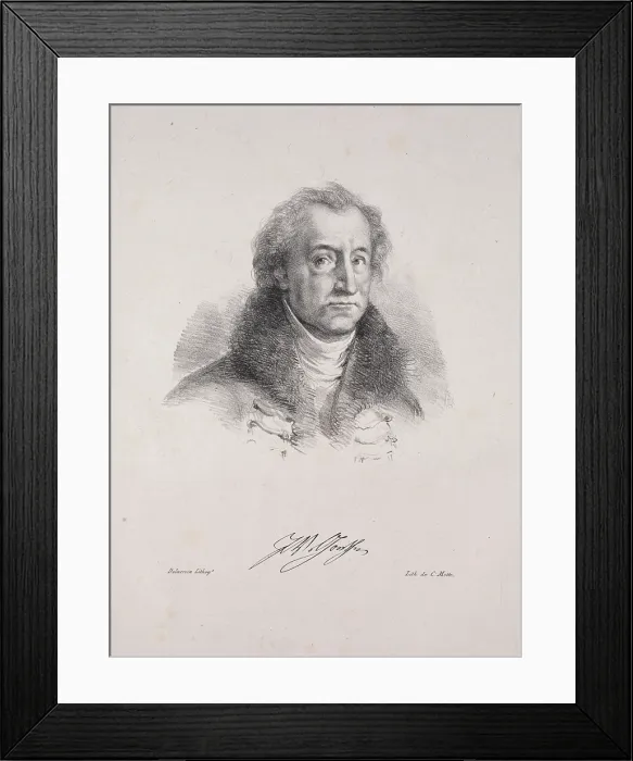 Framed Print : Portrait of Johann Wolfgang von Goethe (1749-1832), 1828. Creator: Delacroix, Eugene (1798-1863) Framed Print : Portrait of Johann Wolfgang von Goethe (1749-1832), 1828. Creator: Delacroix, Eugene (1798-1863)