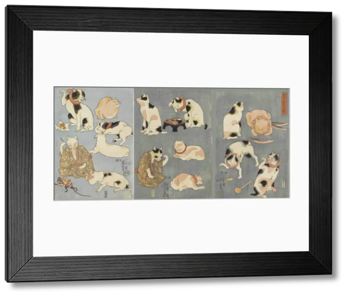Framed Print : Tatoe zukushi no uchi (Illustrated Proverbs with Cats), 1852. Creator: Kuniyoshi, Utagawa (1797-1861) Framed Print : Tatoe zukushi no uchi (Illustrated Proverbs with Cats), 1852. Creator: Kuniyoshi, Utagawa (1797-1861)