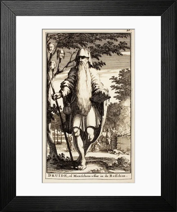 Framed Print : Druids Human Sacrifice. From Antiquitates Germanicae by Cornelius Tacitus, 1712-1714. Creator: Anonymous Framed Print : Druids Human Sacrifice. From Antiquitates Germanicae by Cornelius Tacitus, 1712-1714. Creator: Anonymous