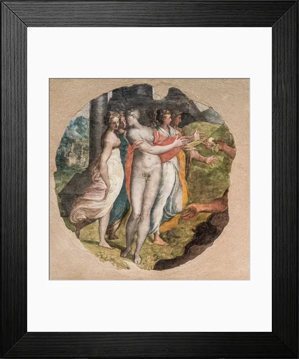 Framed Print : The Judgement of Paris, 1566. Creator: Zanguidi (Bertoia), Jacopo (1544-1574) Framed Print : The Judgement of Paris, 1566. Creator: Zanguidi (Bertoia), Jacopo (1544-1574)