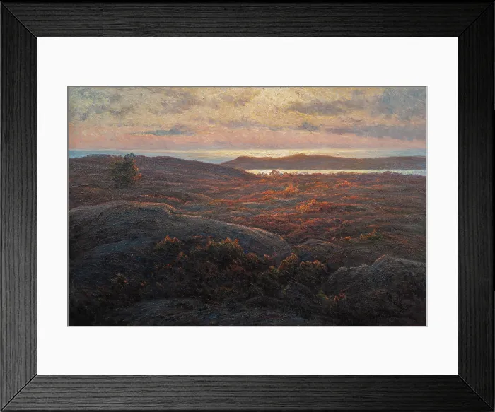 Framed Print : Sunlight, before 1912. Creator: Wahlstrom, Charlotte (1849-1924) Framed Print : Sunlight, before 1912. Creator: Wahlstrom, Charlotte (1849-1924)