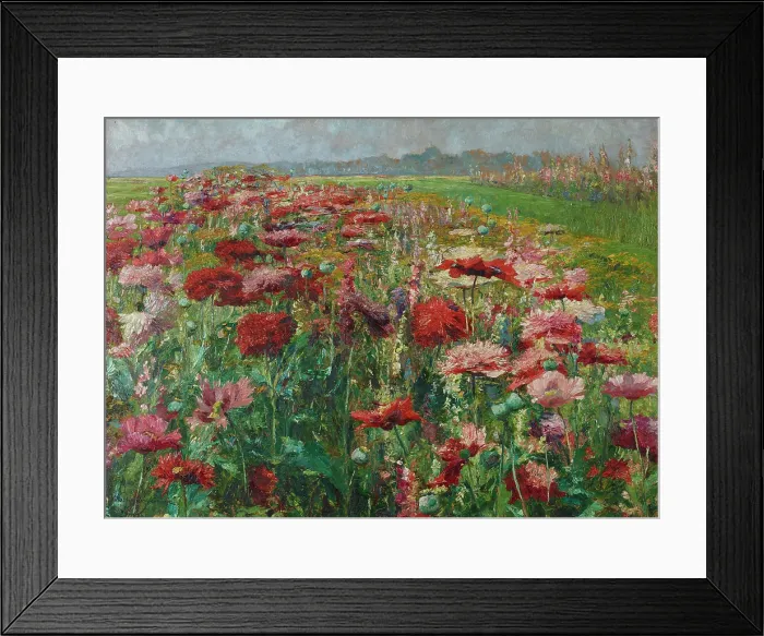 Framed Print : Blooming Poppy, c1895-1900. Creator: Wisinger-Florian, Olga (1844-1926) Framed Print : Blooming Poppy, c1895-1900. Creator: Wisinger-Florian, Olga (1844-1926)