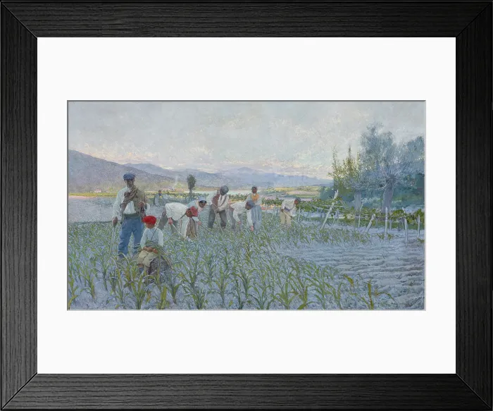 Framed Print : The weeding corn, 1893. Creator: Guinea, Anselmo (1855-1906) Framed Print : The weeding corn, 1893. Creator: Guinea, Anselmo (1855-1906)