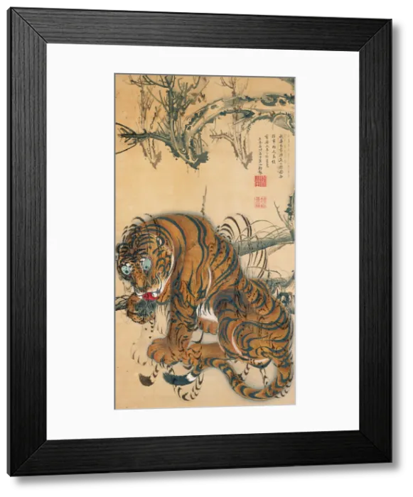 Framed Print : Tiger, 1755. Creator: Jakuchu, Ito (1716-1800) Framed Print : Tiger, 1755. Creator: Jakuchu, Ito (1716-1800)