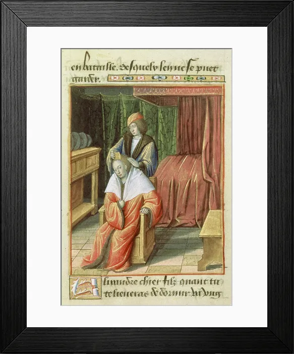 Framed Print : Miniature from Le Secret des secrets (Francais 18145), 15th century. Creator: Anonymous master Framed Print : Miniature from Le Secret des secrets (Francais 18145), 15th century. Creator: Anonymous master