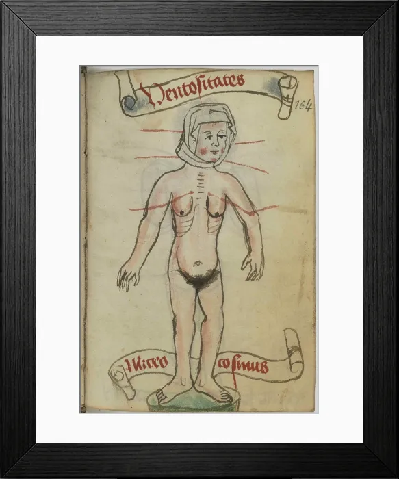 Framed Print : Miniature from Recueil de prieres, suivi de notions astrologiques (Allemand 124), 15th century. Creator: Anonymous master Framed Print : Miniature from Recueil de prieres, suivi de notions astrologiques (Allemand 124), 15th century. Creator: Anonymous master