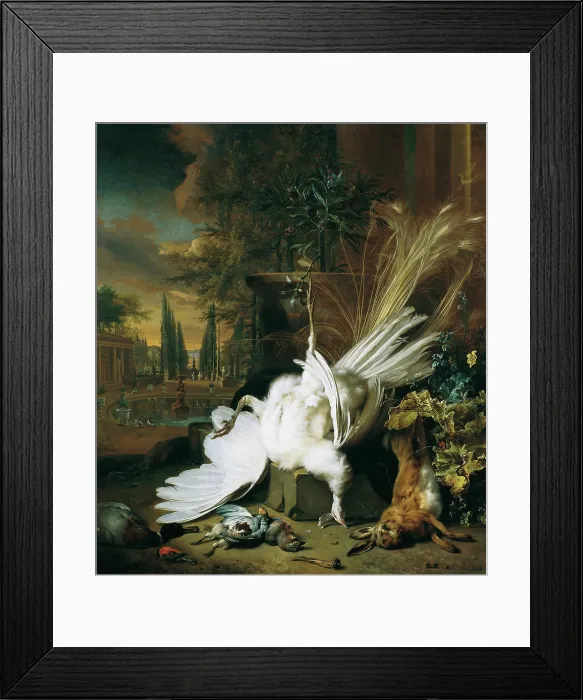 Framed Print : The white peacock, 1693. Creator: Weenix, Jan, the Younger (1642-1719) Framed Print : The white peacock, 1693. Creator: Weenix, Jan, the Younger (1642-1719)