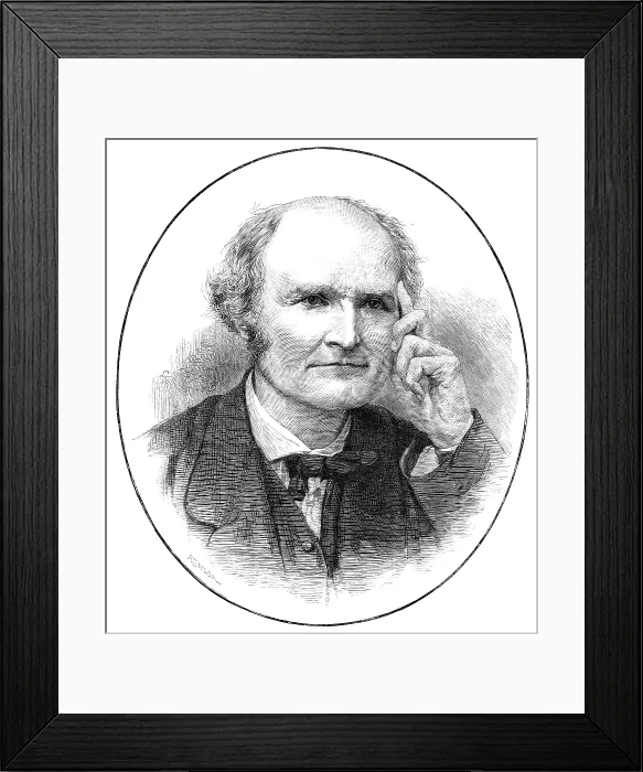 Framed Print : Professor Cayley, President of the British Association, 1883. Creator: R. Taylor Framed Print : Professor Cayley, President of the British Association, 1883. Creator: R. Taylor
