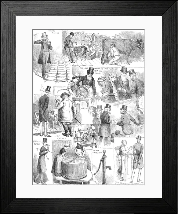 Framed Print : The Dairy Show at the Agricultural Hall, Islington, 1883. Creator: Unknown Framed Print : The Dairy Show at the Agricultural Hall, Islington, 1883. Creator: Unknown